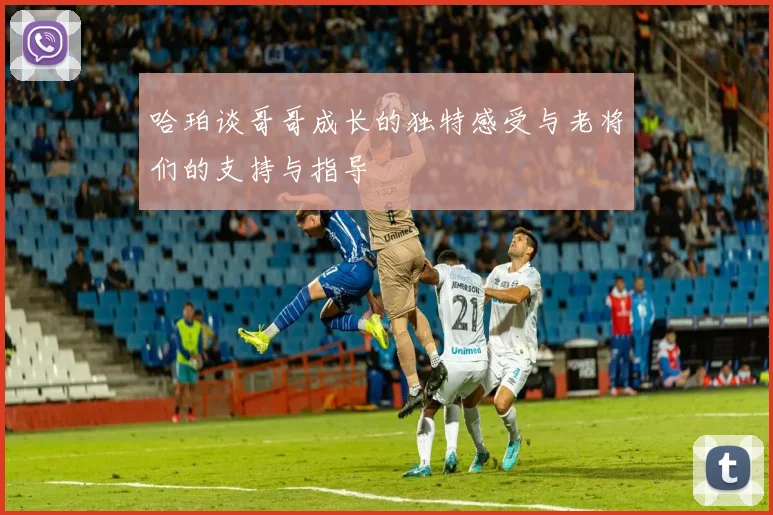 哈珀谈哥哥成长的独特感受与老将们的支持与指导